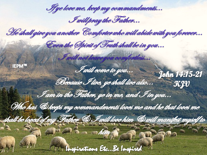 Image Credit :http://images.travelpod.com/users/jillybear/1.1242201060.sheep-farm-near-glenorchy.jpg